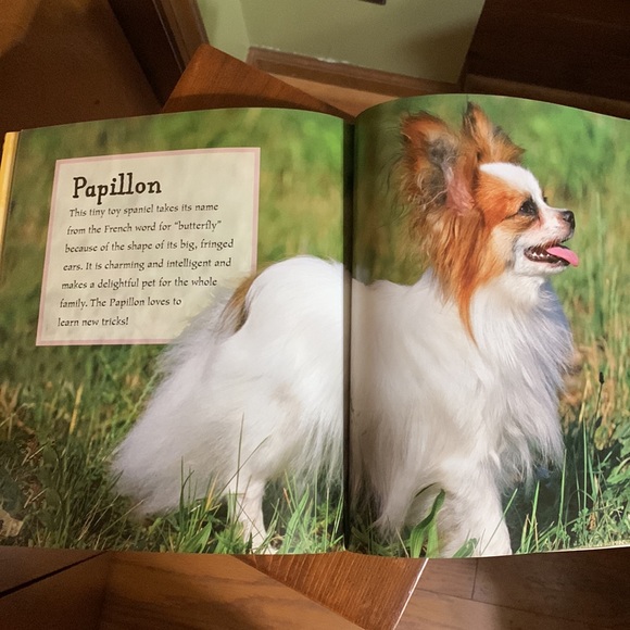 SCHOLASTIC- I LOVE ❤️ DOGS & PUPPIES- Over 50 Breeds - 120 pages of Doggie Love! - Picture 3 of 10